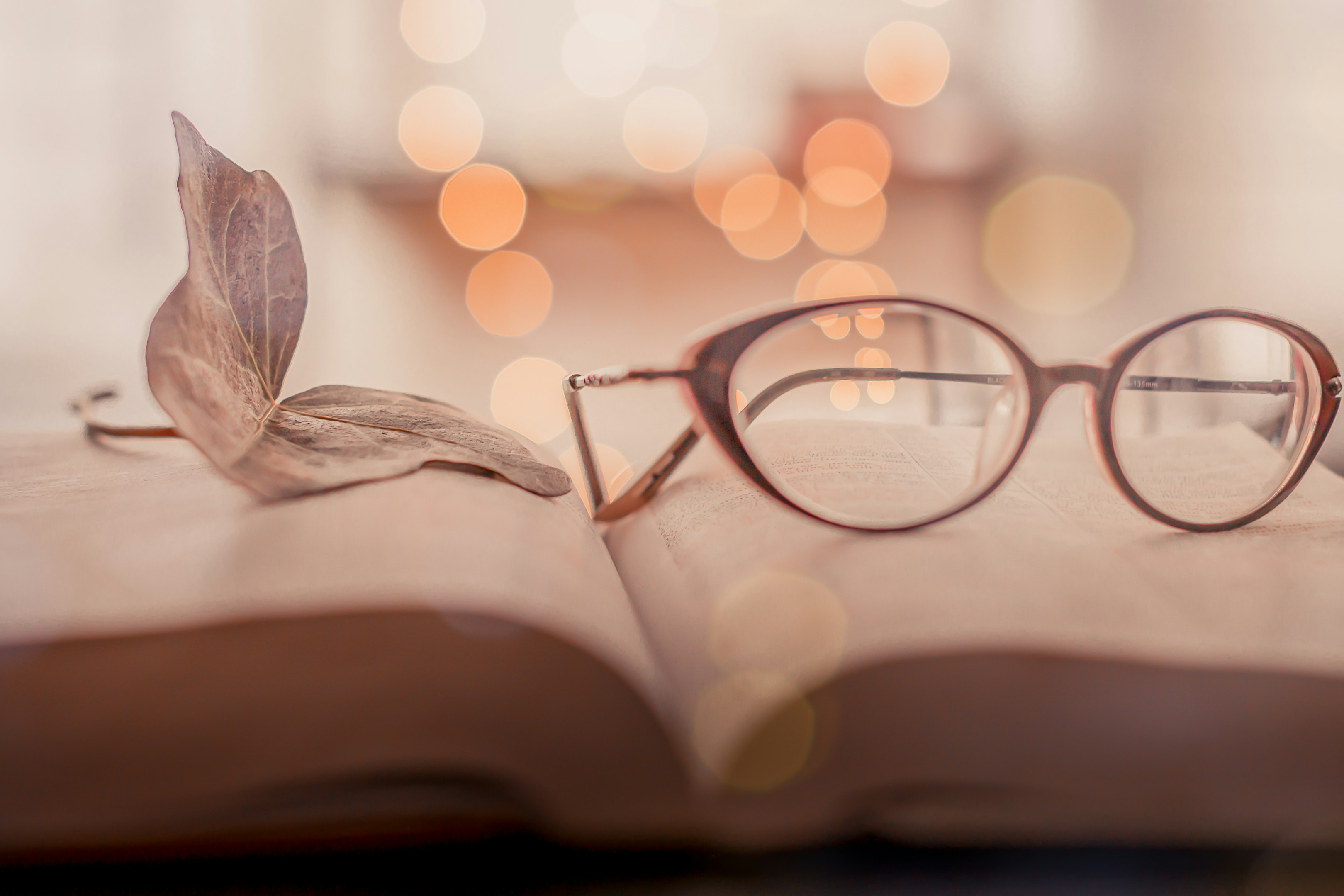 brown framed eyeglasses on book page